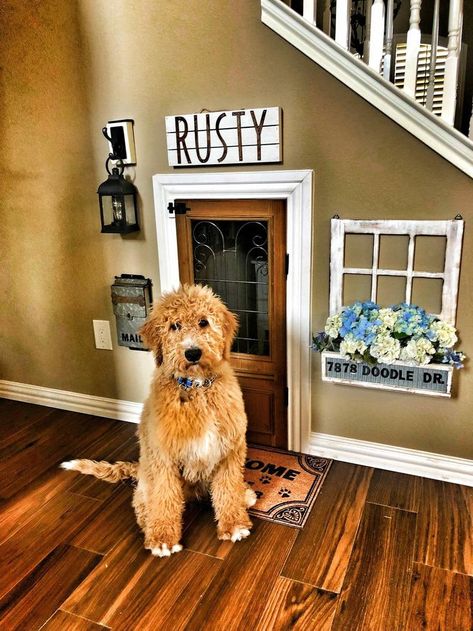 Doodle dog door! Dog Decor | Dog Home Decor | Dog Room Ideas | Dog Signs | Dog Lovers | Dog Mom | Dog Dad | Dog Parents | Dog Nook #dogdecor #doghome  #dogmom Dog Under Stairs, Stairs Dog House, Under Stairs Dog House, Lakehouse Design, Dog Nook, Dog Room Decor, Dog Bedroom, Dog Room Ideas, Diy Dog Crate