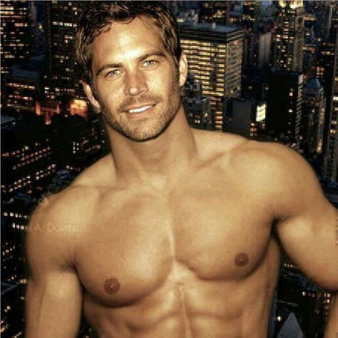 PAUL WALKER Paul Walker Hair, Paul Walker Shirtless, Paul Walker Hot, Actor Paul Walker, Celebrity Men, Paul Walker Quotes, Paul Walker Pictures, Paul Walker Photos, Small Business Social Media