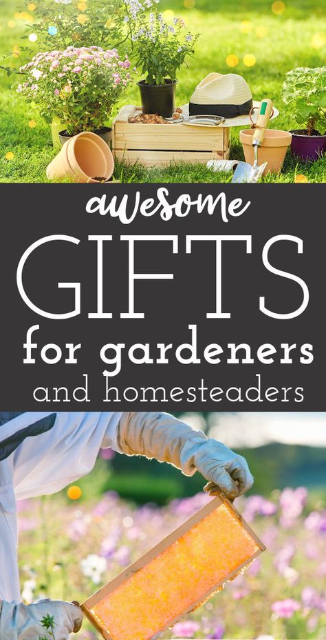 Gardening tools and a person in a beekeeping suit with text "Awesome gifts for gardeners and homesteaders" Gardener Gift Basket Ideas, Gardeners Gift Basket Ideas, Garden Gifts Ideas, Gifts For Gardeners Men, Gifts For Homesteaders, Gardener Gift Ideas, Homestead Gifts, Gardening Gift Ideas, Garden Gift Ideas