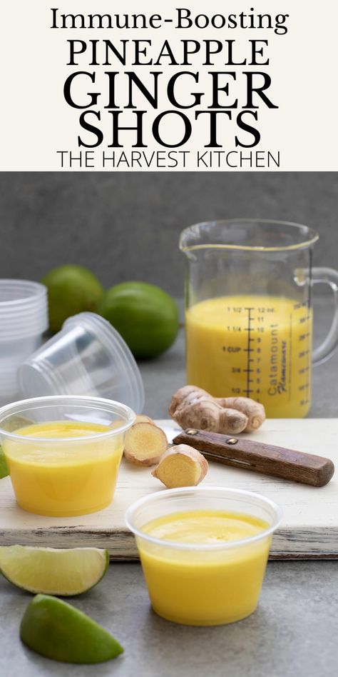 - Ginger shot (also called immunity shots) is rich with antioxidant and anti-inflammatory properties. It’s an easy ginger shot recipe made with fresh ginger, pineapple and lime that makes really great drinks to boost immune system. Ginger Pineapple Shot Recipe, Pineapple Ginger Shots, Pineapple Shots, Ginger Shot Recipe, Cranberry Benefits, Pineapple Benefits, Turmeric Shots, Ginger Drink, Harvest Kitchen