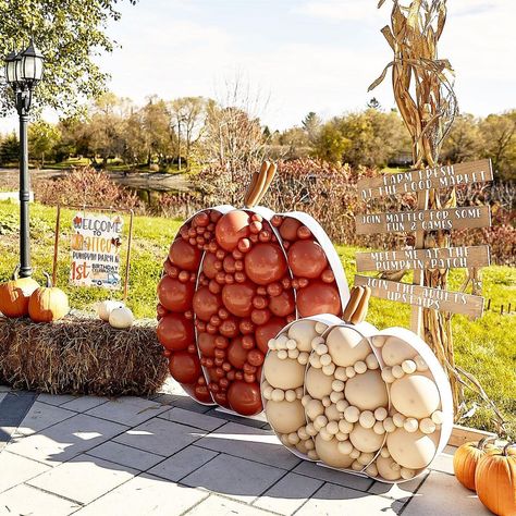 Pumpkin Patch Diy Decorations, Baloon Garland Fall, Pumpkin Patch Balloon Arch, Fall Balloon Photo Backdrop, Fall Festival Balloon Garland, Pumpkin Party Backdrop, Harvest Balloon Garland, Pumpkin Patch Balloon Garland, Pumpkin Gender Reveal Backdrop