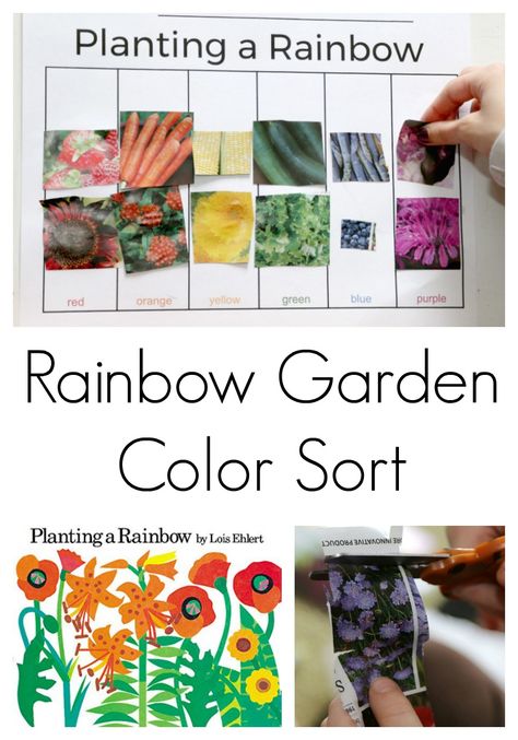 color sort activity for preschool Planting A Rainbow, Garden Unit, Preschool Garden, Activity For Preschool, Pre K Pages, Plants Unit, Rainbow Activities, Plant Activities, Plant Study