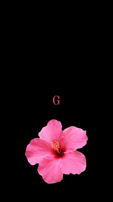 Com inicial G Initial Wallpaper, G Wallpaper Letter Aesthetic, G Wallpaper, G Initial, M Wallpaper, L Wallpaper, Pink Flowers Wallpaper, Flower Letter, Christian Quotes God