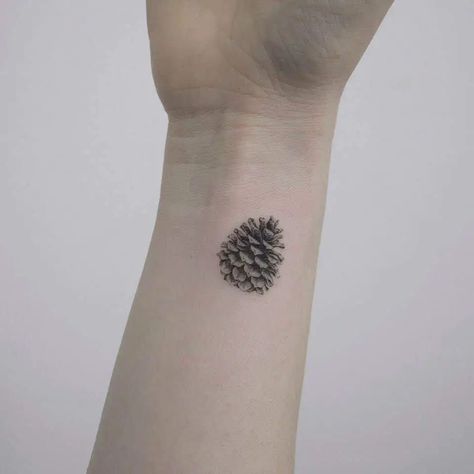 Pinecone Tattoos – Symbol of Human Enlightenment and Eternal Life Pine Cone Tattoo, Pinecone Tattoo, Cone Tattoo, Tattoo Symbolism, Pine Tattoo, Single Needle Tattoo, Forest Tattoos, Small Wrist Tattoos, Nature Tattoos