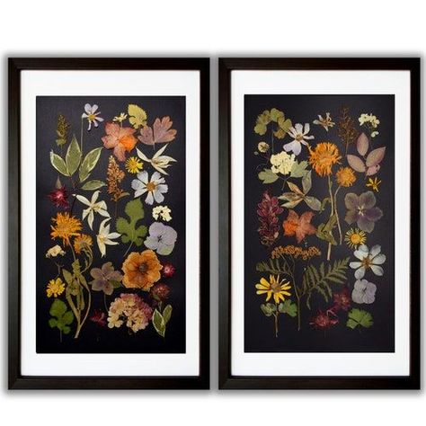 "Huge Pressed Flower Frame - Wall decor 13x18\" - Herbarium - Pressed Leaves - Floating frame - Botanical Art - Pressed flower art". #pressed #herbarium #art #silkpress #botany #photography Pressed Flower Art Picture Frames, Herbarium Art, Pressed Botanical Art, Wild Bergamot, Pressed Flowers Art, Framed Botanical Art, Botanical Pictures, Pressed Flowers Diy, Pressed Flowers Frame