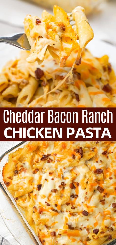 Chicken Bacon Ranch Casserole With Cream Cheese, Shredded Chicken Ranch Recipes, Recipes Made With Shredded Chicken, Add A Pinch Robyn Stone Recipes, Cheddar Bacon Ranch Chicken Alfredo, Shredded Chicken And Bacon Recipes, Baked Chicken Bacon Ranch Pasta, Chicken Bacon Cheddar Bake, Shredded Chicken Bake Recipes