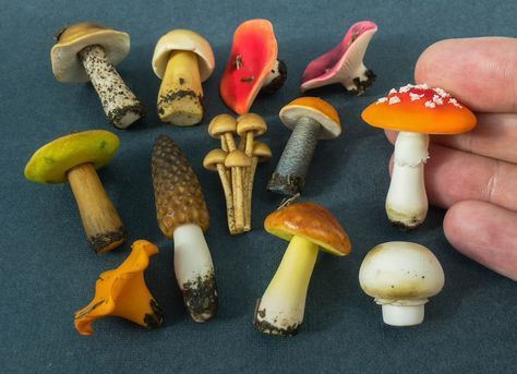 Toadstools on Etsy Fake Mushrooms, Miniature Mushrooms, Terrarium Fairy Garden, Fairy Garden Mushrooms, Polymer Clay Mushroom, Crea Fimo, Fairy Garden Kit, Mushroom Crafts, Garden Mushrooms