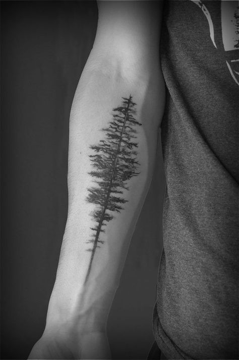 Pine Tree Camping Tattoo, Tree Scar Tattoo, Mens Nature Tattoo Simple, Tree On Forearm Tattoo, Pine Tree Arm Tattoo, Trees Tattoo Men, Forearm Tree Tattoo For Men, Male Tree Tattoo, Men’s Tree Tattoo