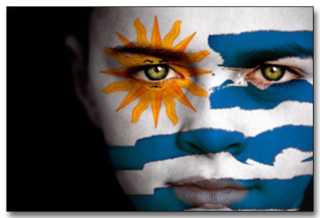 Uruguay Uruguay Flag, Brazil World Cup, Constitution Day, Argentina Flag, Flag Painting, Flag Face, Dog Branding, South America Travel, Flags Of The World