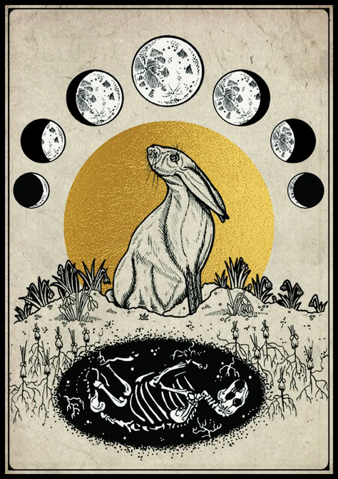 Moon Cycle Drawing, Hare Skeleton, As Above So Below, Rabbit Rabbit, Pagan Altar, Spiritual Artwork, Lunar Cycle, Rabbit Art, Foto Art