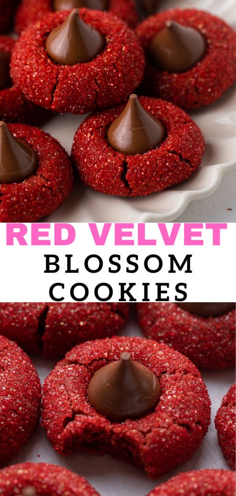 These red velvet blossoms cookies are soft, crunchy, and have just the right amount of Hershey's chocolate in the center. Red Velvet Thumbprint Cookies, Hershey Kiss Thumbprint Cookies, Thumb Print Cookies Recipes Christmas, Thumbprint Cookies Hershey Kiss, Christmas Thumbprint Cookies, Blossoms Cookies, Thumbprint Cookies Christmas, Christmas Food Recipes, Red Cookies