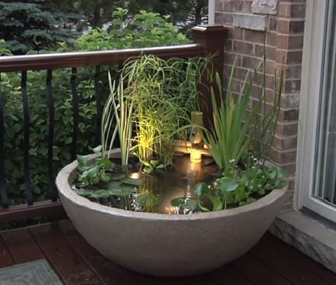 Patio Water Feature, Diy Container, Taman Diy, Landscaping Layout, Container Water Gardens, Patio Pond, Diy Water Feature, Outdoor Water Features, Small Water Features