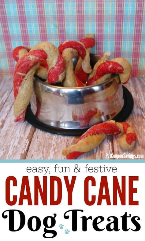 These easy Candy Cane Dog Treats are sure to become your dogs favorite homemade treat this Christmas! #dogs #dogtreats #Christmas #dogtreatscandycane Dog Cookie Recipes, Homemade Dog Cookies, Christmas Dog Treats, Treats Christmas, Dog Biscuit Recipes, Doggie Treats, Homemade Candy, Dog Treats Homemade Recipes, Diy Dog Treats