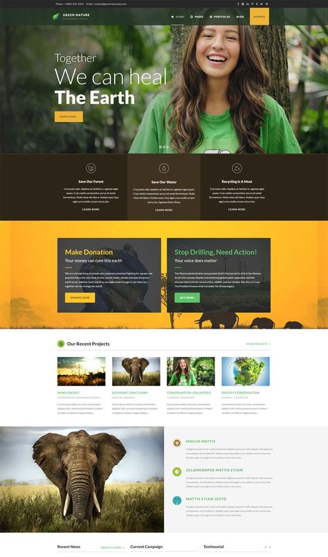 Environmental HTML Website Template Website Design Trends, Html Website, Website Mockup, Html Website Templates, Nature Conservation, Wp Themes, Html Templates, Green Nature, Website Design Inspiration