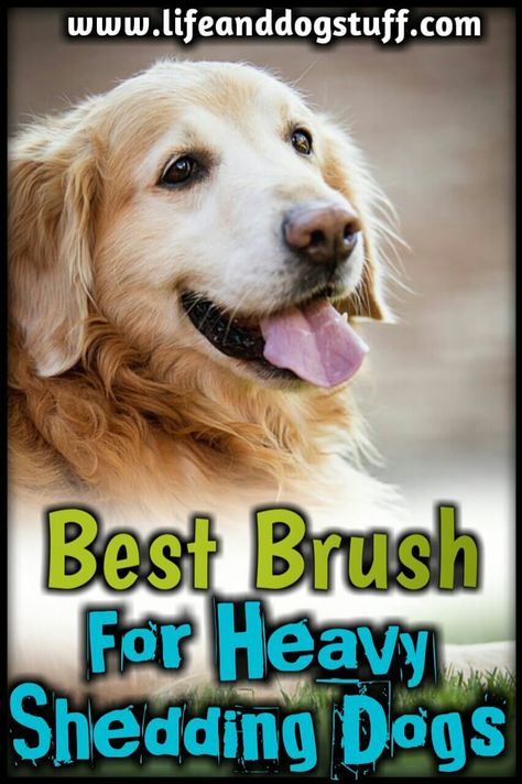 Dog Brushes, Dog Grooming Salon Ideas, Grooming Salon Ideas, Dog Fluffy, Puppy Diy, Dogs Diy Projects, Dog Brush, Dog Grooming Tips, Puppy Treats