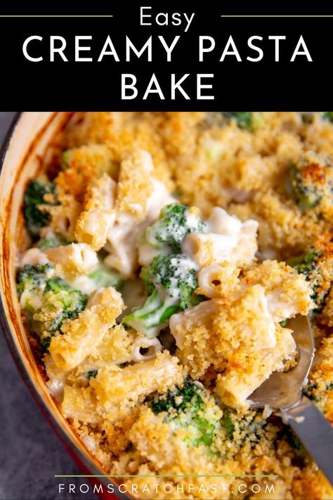 Shows a close up of a creamy pasta bake with broccoli and topped with bread crumbs. Vegetable Pasta Bake Recipes, Broccoli Pasta Casserole, Veggie Pasta Bake, October Recipes, Creuset Recipes, Vegetable Pasta Bake, Broccoli Pasta Bake, Creamy Pasta Bake, Breadcrumb Topping