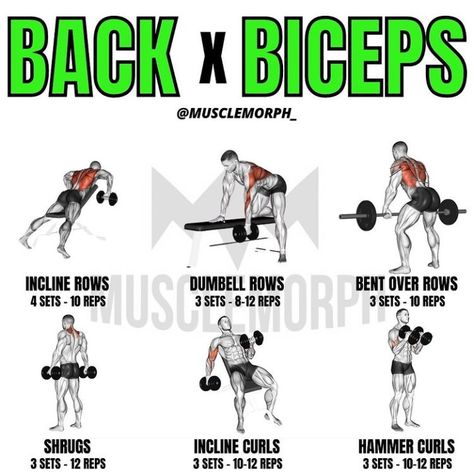 Back And Bicep Workout For Men Dumbells, Dumbbell Back And Bicep Workout, Back And Biceps Workout Gym, Back And Bicep Workout For Men, Back And Bicep Workout Dumbell, Biceps Workout Gym, Strength Workout Plan, Back And Biceps Workout, Upper Body Workout Gym