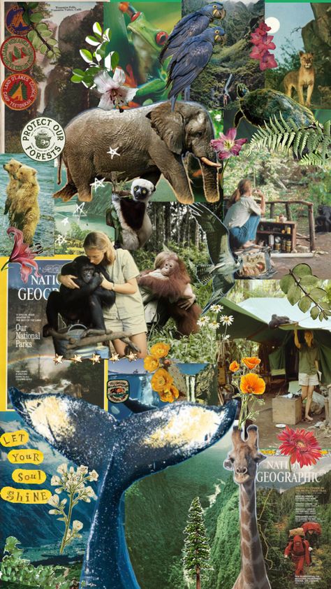 Zoology Aesthetic Wallpaper, Wildlife Biology Aesthetic, Zoology Career, Wildlife Collage, Vet Medicine, Wildlife Biologist, Nature Collage, Animal Study, Animal Science