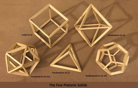 Platonic Solids Projects 3d Shapes, Archimedean Solids, Waldorf Teaching, Platonic Solids, Platonic Solid, Neon Lamp, Spiritual Decor, Principles Of Design, 3d Shapes