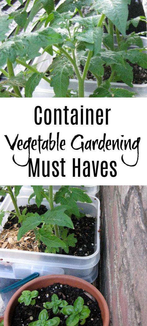 Garden Container Ideas Vegetable, Container Gardening Layout, Vegetables In Pots Container Gardening, Container Gardening Vegetables Layout, Gardening Must Haves, Vegetable Container Garden, What Vegetables Can You Grow In Pots, Garden Must Haves, Container Garden Layout