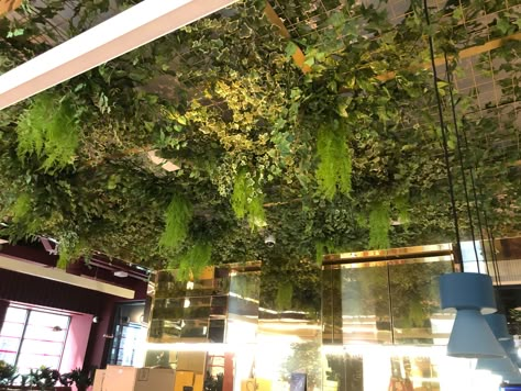 Fake Plant Ceiling Decor, Ceiling Covered In Plants, Flower Ceiling Restaurant, Faux Greenery Ceiling, Faux Plant Ceiling, Hanging Plant Ceiling, Fake Plant Ceiling, Fake Vines On Ceiling, Plant Ceiling Decor