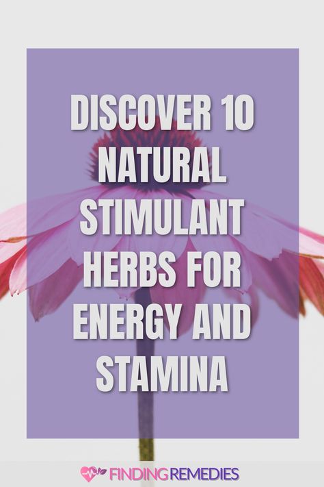 Discover 10 Natural Stimulant Herbs for Energy and Stamina Herbs For Energy, Constant Headaches, Adrenal Health, Improve Energy Levels, Herbal Plants, Increase Stamina, Improve Cognitive Function, Increase Energy Levels, Boost Your Energy