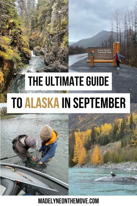 Alaska In September, Alaskan Cruises, Retirement Goals, Alaska Road Trip, Kenai Fjords National Park, Usa Destinations, Visit Alaska, Alaska Vacation, Kenai Fjords