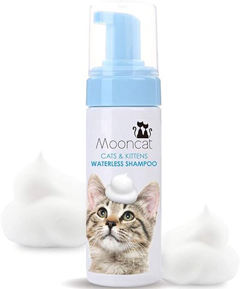 Cat Types, Cat Shampoo, Cat Cleaning, Cat Essentials, Cat Bath, Types Of Cats, Food Cat, Cute Little Kittens, Pet Shampoo