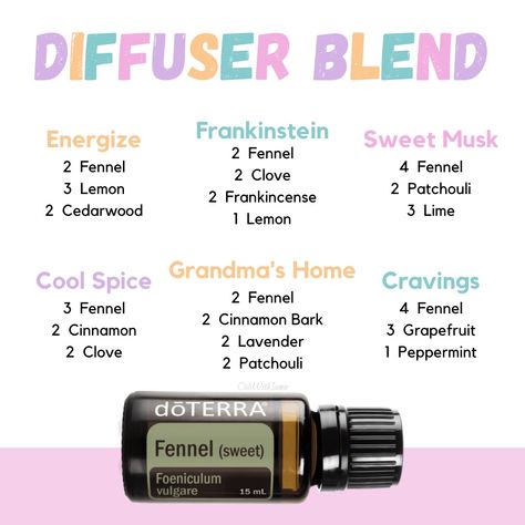 The aroma of Fennel pairs well with other savory cooking spices and herb essential oils like Cinnamon, Clove, Basil, Thyme, and Rosemary. You can also use Fennel essential oil to bring out the bright, sweet notes of citrus essential oils like Lime, Wild Orange, and Ginger. #doterra #essentialoils Rosemary Diffuser Blends Doterra, Coriander Essential Oil Blends, Diffuser Blends Grapefruit, Fennel Uses, Doterra Fennel, Fennel Oil, Fennel Essential Oil, Doterra Diffuser, Doterra Diffuser Blends