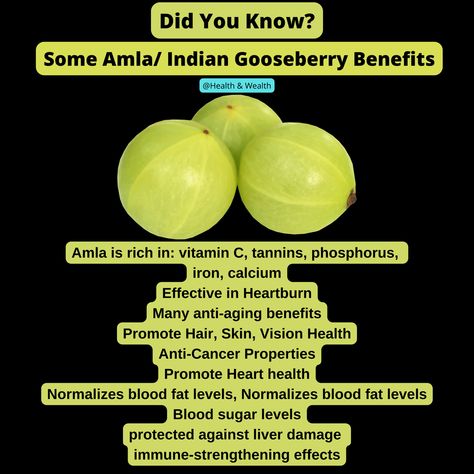 dry amla benefits
amla benefits for hair
eating amla benefits
amla benefits and side effects
amla benefits according to ayurveda
amla benefits and hair
amla benefits and skin
amla benefits during pregnancy
amla digestive benefits
dry amla benefits and side effects Gooseberry Benefits, Amla Benefits, Indian Gooseberry, Vegetable Benefits, Vision Health, Fruit Benefits, The Immune System, Blood Sugar Levels, Heart Health