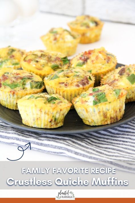 Mini crustless quiche muffins are perfect for breakfast or brunch. Egg muffins with bacon are made without the traditional crust, making them a low-carb quiche and gluten-free quiche option. They are filled with cheese, bacon, spinach, and eggs, and baked until golden brown. Mini crustless quiche muffins with spinach are easy and can be prepared in advance for a quick and healthy breakfast on-the-go. Use up leftover ingredients and are customizable to suit everyone! (Affil via @PlantedinArkansas Individual Quiches With Crust, Mini Quiches In Muffin Tin Crustless, Muffin Quiche Recipes, Mini Quiches In Muffin Tin, Crustless Quiche Muffins, Crustless Mini Quiche, Muffins With Spinach, Ham And Spinach Quiche, Muffin Pan Quiche