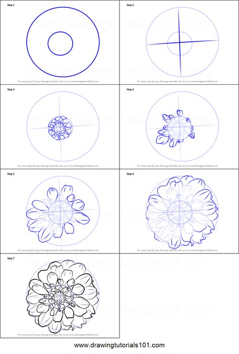 How to Draw Dahlia Flower printable step by step drawing sheet : DrawingTutorials101.com How To Paint Dahlias Easy, Dahlia Flower Drawing Easy, How To Draw Marigolds Step By Step, Dahlia Flower Sketch, Realistic Flower Drawing Step By Step, Draw Dahlia Flower, How To Draw Dahlia Step By Step, How To Draw Dahlia, Dalia Flower Drawing