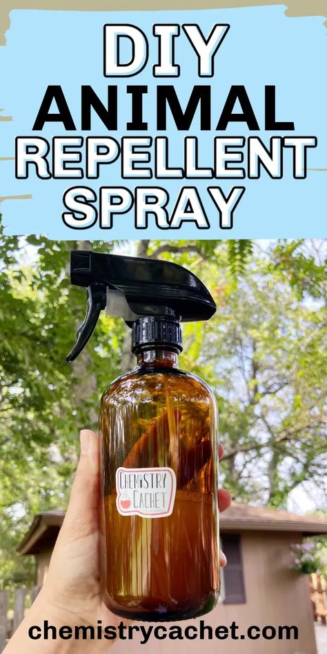 If you want to deter rabbit, deer, and other animals from your garden or flower bed, try this DIY natural, organic animal repellent spray recipe. We share the science behind how it works too! Homemade Deer Repellant, Rabbit Deterrent, Dog Deterrent Spray, Dog Repellent Spray, Rabbit Repellent, Dog Deterrent, Deer Deterent, Deer Resistant Garden, Deer Repellant