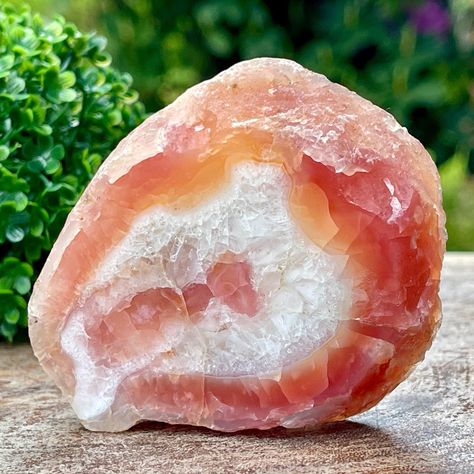 Laguna Agate Slice with Stunning Pink Color and Quartz, High Quality AAA Grade Collectors Edition Rare México agate, #51 Laguna Agate, Gemstone List, Fancy Lights, Agate Slice, Crystal Collection, Color Correction, The Collector, Stones And Crystals, Mother Nature