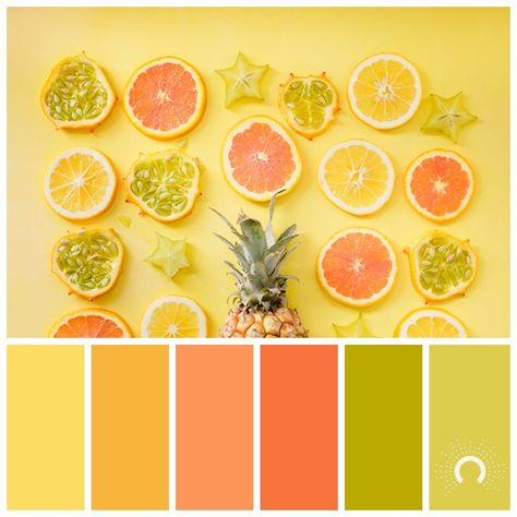 Subdued Tropical punch Colour Pallettes, Colour Crush, Analogous Color Scheme, Brown Color Schemes, Yellow Colour Scheme, Picture Picture, Color Palette Yellow, Color Schemes Colour Palettes, Green Color Schemes