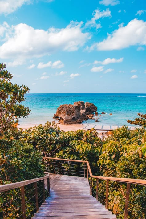 From pristine, white sandy beaches and lush, undisturbed jungles to unique local cuisine, uncover the exotic adventures Okinawa has in store. Calming Places, Okinawa Diet, Japan Beach, Future Board, Things To Do In Japan, Travel To Japan, Add Value To Your Home, Job Searching, Best Boutique Hotels