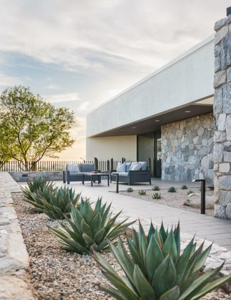 Front Years Landscape Ideas, Cactus Landscaping Front Yards, Cactus Patio, Desert Landscaping Backyard, Desert Landscape Design, Desert Backyard, Contemporary Landscape Design, Living Pool, Modern Backyard Landscaping