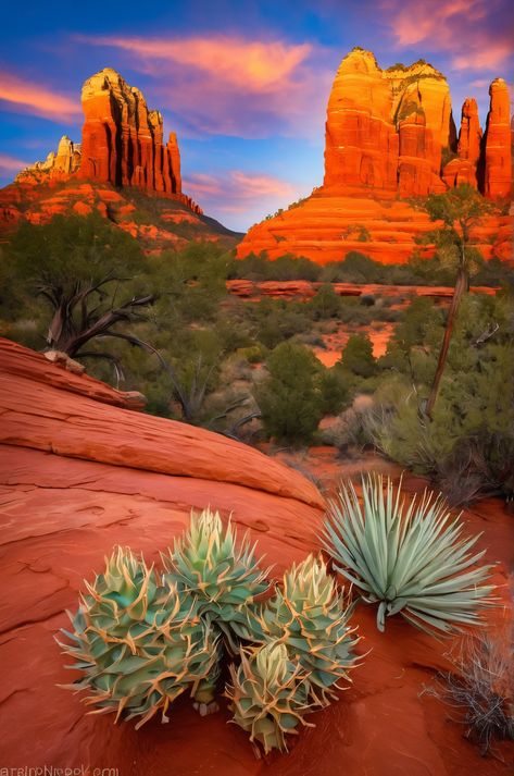 Witness Sedona's red rock spires ablaze under a turquoise sky. A fiery sunset spectacle in Arizona's natural art gallery. #Sedona #Arizona #Sunset Arizona Wallpaper, Superstition Mountains Arizona, Ancient Landscape, Fiery Sunset, Desert Aesthetic, Superstition Mountains, Professional Networking, Desert Sunset, The Setting Sun