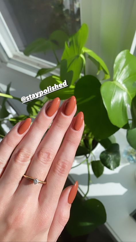 Nail Inspo Autumn 2022, Fall Nails 2022 Burnt Orange, Fall Nail Colors 2023 Orange, Autumn Nails Solid Colors, Almond Nails Burnt Orange, Fall Nails Rusty Orange, Pink Nails Powder Dip, Classy Boss Lady Nails, Terracotta Nails Acrylic