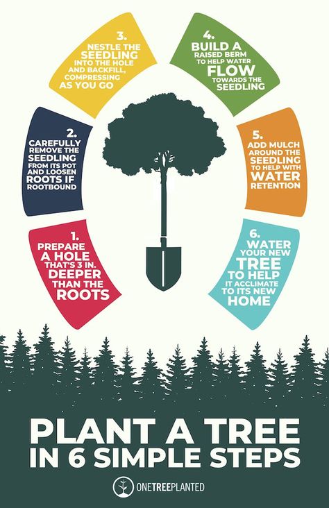 Planting Trees Poster, Plant A Tree Poster, Tree Planting Poster, Tree Architecture, Cabin Landscape, Forest Gardens, Native Landscaping, Planting A Tree, Orchard Design