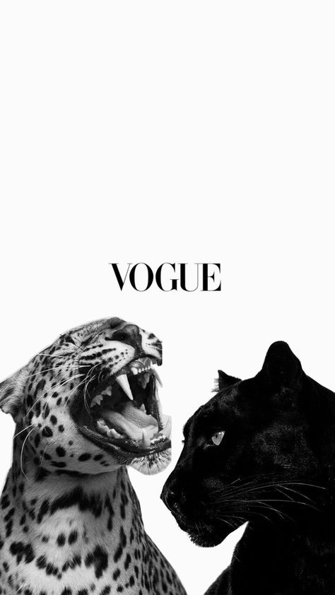 Glamour Leopard Print Wallpaper, Vogue Art Drawing, Oscar Poster Design, Cheetah Background Aesthetic, Picture Wall Ideas Bedroom Aesthetic Black And White, Aesthetic Photos For Wall Decor, Photos For Room Decor Pictures, Cool Iphone Wallpaper Aesthetic, Vouge Posters For Room