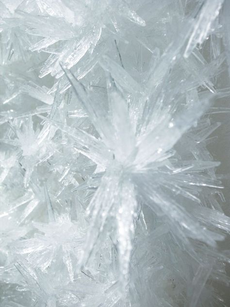 Tokujin Yoshioka, Swan Lake 2013 (Crystallized painting - detail).photo © MOT / Museum of Contemporary Art Tokyo. Tokujin Yoshioka, Toshiro Hitsugaya, Killer Frost, Yennefer Of Vengerberg, Wally West, Catty Noir, Art Appliqué, Emma Frost, Ice Crystals