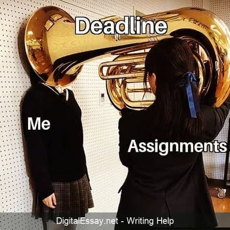 #essay #essaywriting #essaytips #essayhelp #essayontime #college #homework #memes #humor #writingpaper #collegehumor #essayhumor Homework Meme, Gaming Ps5, Help Meme, College Homework, College Memes, Essay Tips, Essay Help, Youtube Instagram, College Humor