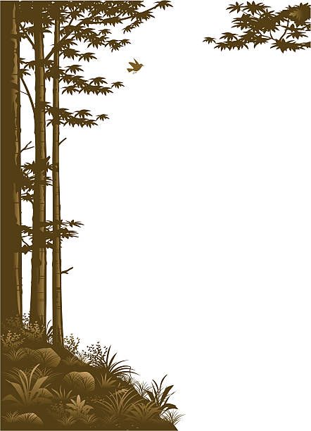 Woodland border Nature Border Design Drawing, Forest Border Design, Forest Border, 2024 Watercolor, Fancy Tree, Drawing Borders, Plain Wallpaper Iphone, Tree Borders, Forest Silhouette