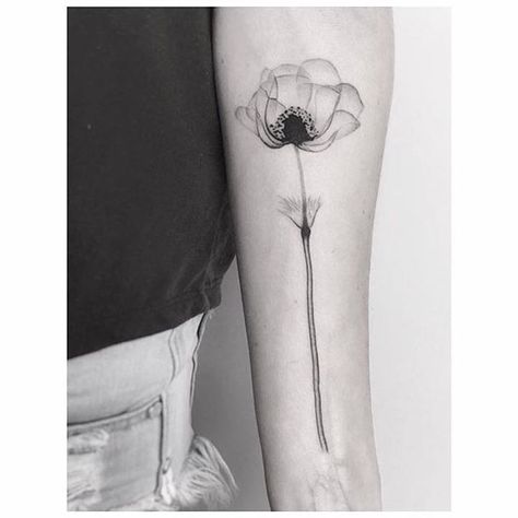 Steven N. Meyers inspired X-Ray #poppy by @jakubnowicztattoo · @jazz_tattoo_poznan  #littletattoos #life #art #awesome #nature #woman #love #artists #tattoos #tattoofilter #tattoos #smalltattoos #tattoofilter #tattoos #artist #tattooart #tf Anemone Flower Tattoo, Jazz Tattoo, Anemone Tattoo, Artists Tattoos, White Anemone Flower, Poppy Flower Tattoo, Nature Woman, Ray Tattoo, Single Needle Tattoo