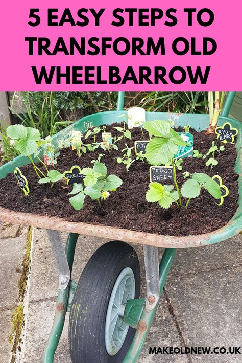 Easy steps to reuse old wheelbarrow, wheelbarrow upcycle, transform old wheelbarrow into a raised bed, wheelbarrow garden, make old wheelbarrow useful, create wheelbarrow garden, Wheelbarrow Planter Ideas Rustic, Wheel Barrow Planters, Old Wheelbarrow Ideas Planters, Wheel Barrow Ideas, Wheelbarrow Planter Ideas, Veg Growing, Cabin Landscaping, Gardening Inside, Wheelbarrow Planter