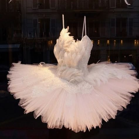 🦢 dress Swan Lake Costumes, Duchess Swan, Swan Costume, Ballerina Aesthetic, Flowers In The Attic, Ballerina Outfit, Tutu Ballet, Ballet Aesthetic, Ballet Beauty