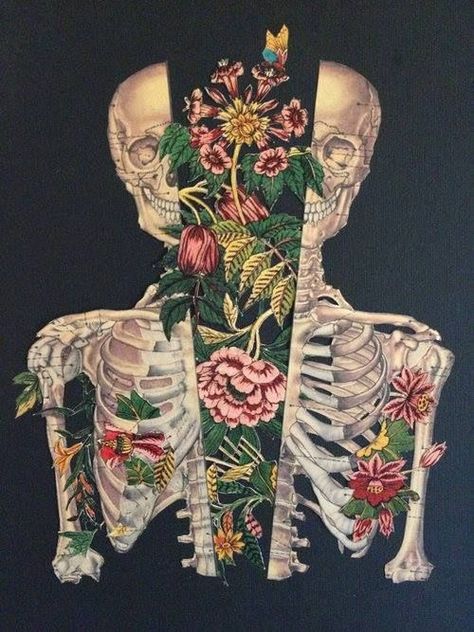 Tumblr Art, Skeleton Art, Medical Art, Trendy Flowers, Flower Skull, Trippy Art, Anatomy Art, Drawing Artwork, Skull Art