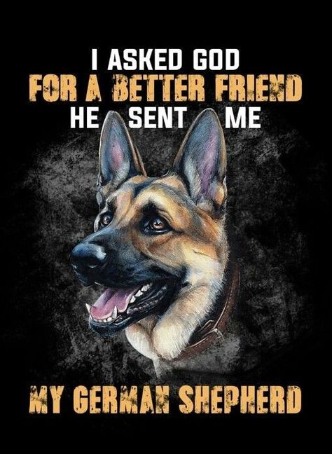 Quotes About German Shepherds, German Shepard Quotes, German Shepherd Dog Quotes, German Shepherd Quotes, German Shepherd Care, German Shepherd Photography, German Shepherd Puppies Training, Animal Lover Quotes, Rip Wheeler