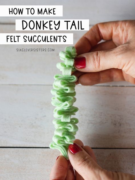 Donkey's Tail Felt Succulents {Crazy Easy!} - Six Clever Sisters Felt Succulents Template Free, Felt Cactus Diy, Felt Succulents Template, Felted Succulents, Sewn Flowers, Felt Cactus, Felt Succulents, Cactus Diy, Types Of Succulents